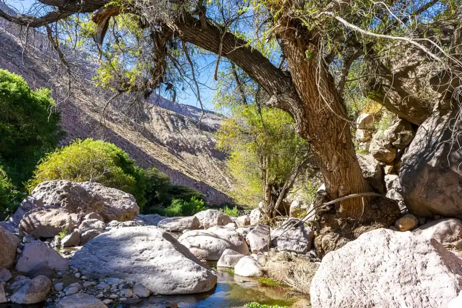 Imagen Río Caravelí - Imagen 9