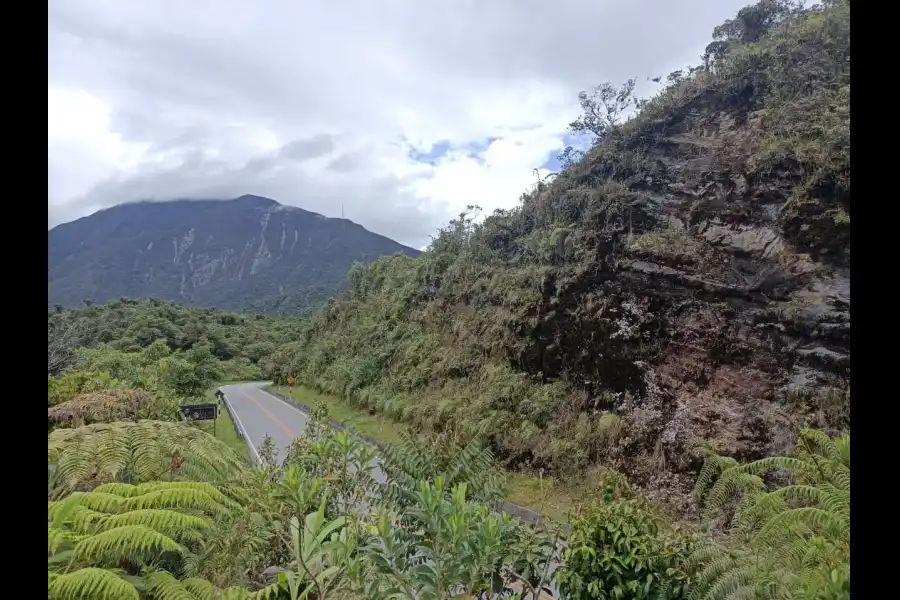 Imagen Mirador Turístico Del Bosque De Protección Alto Mayo - Imagen 1