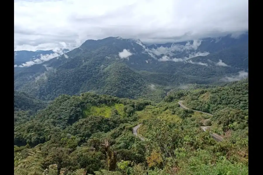 Imagen Mirador Turístico Del Bosque De Protección Alto Mayo - Imagen 4