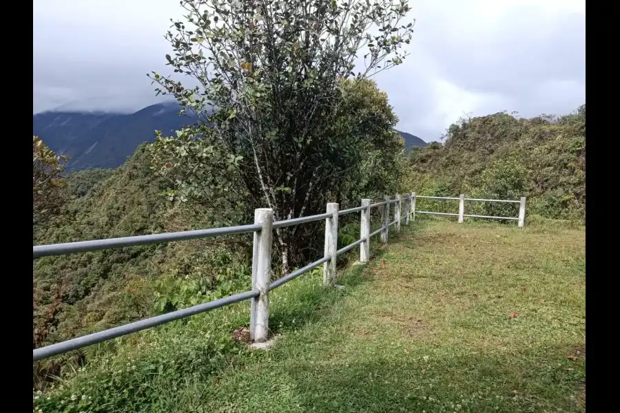 Imagen Mirador Turístico Del Bosque De Protección Alto Mayo - Imagen 5