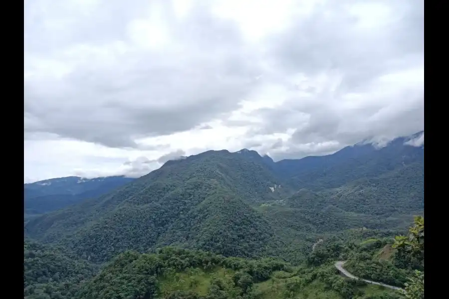 Imagen Mirador Turístico Del Bosque De Protección Alto Mayo - Imagen 6