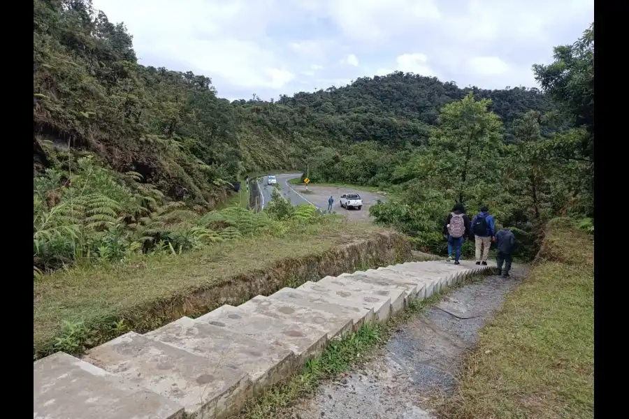 Imagen Mirador Turístico Del Bosque De Protección Alto Mayo - Imagen 7