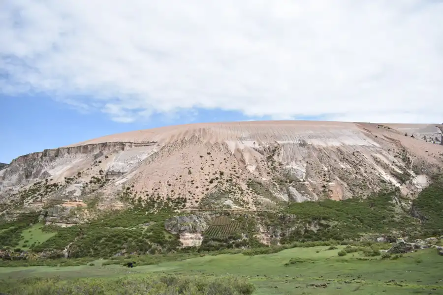 Imagen Bosques De Pampachiri – Sector Pabellones - Imagen 3