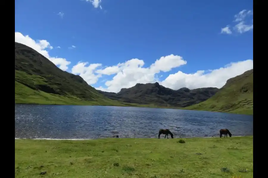 Imagen Laguna Chinchaycocha - Imagen 3