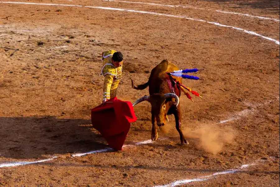 Imagen Festividad De La Virgen Del Buen Paso - Imagen 8