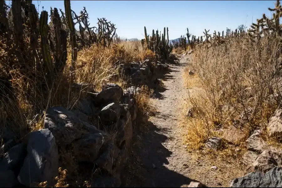 Imagen Complejo Arqueológico De Llactapata - Imagen 8