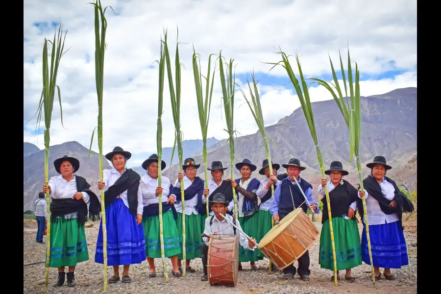 Imagen Danza Las Cañas - Imagen 1