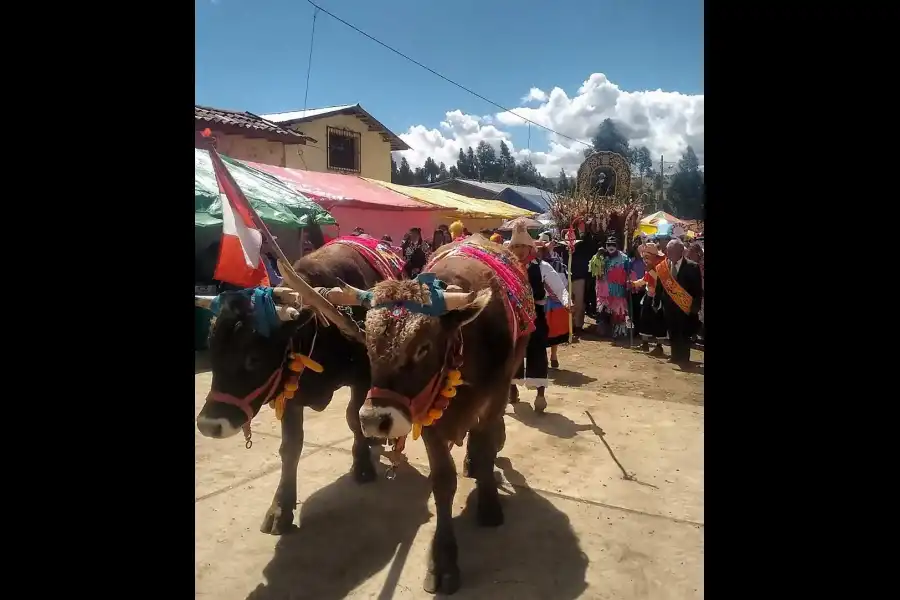 Imagen Fiesta Patronal De San Isidro Labrador De Vicso - Imagen 1