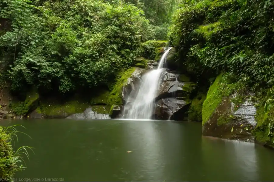 Imagen Caídas De Agua De La Comunidad Nativa De Kotsimba. - Imagen 1