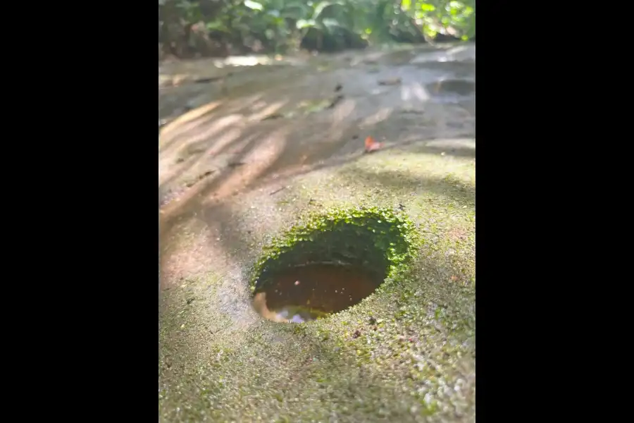 Imagen Bosque Ojos De Agua - Imagen 4