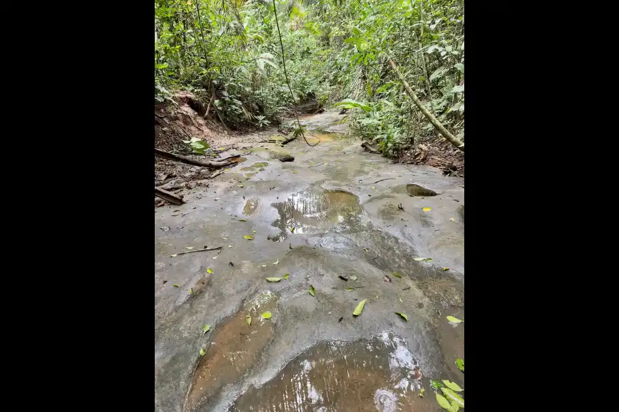 Imagen Bosque Ojos De Agua - Imagen 5