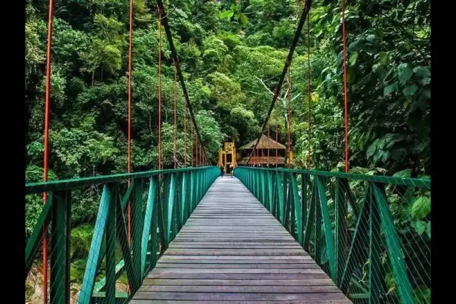 Imagen Catarata Velo De La Novia - Imagen 6