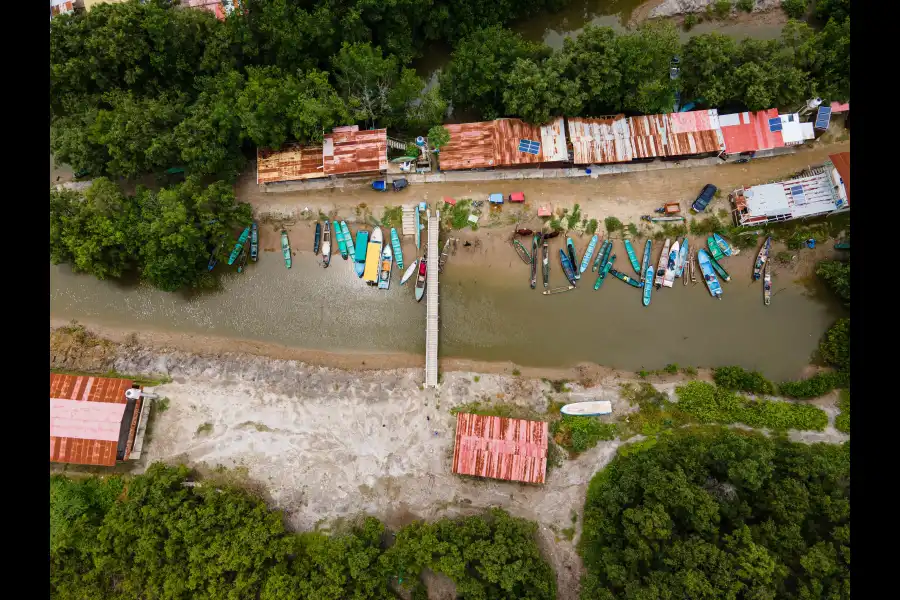 Imagen Santuario Nacional Los Manglares De Tumbes - Imagen 8