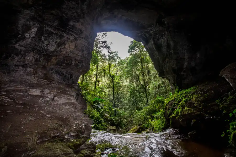 Imagen Gruta De Pacuyacu - Imagen 4