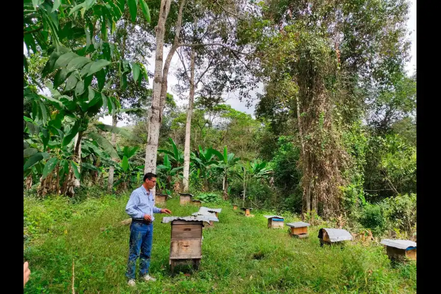 Imagen Finca Agro Apicola La Arboleda - Imagen 3