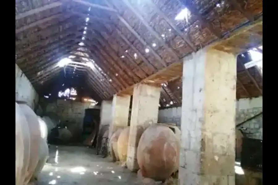 Imagen La Bodega El Socabon - Imagen 1