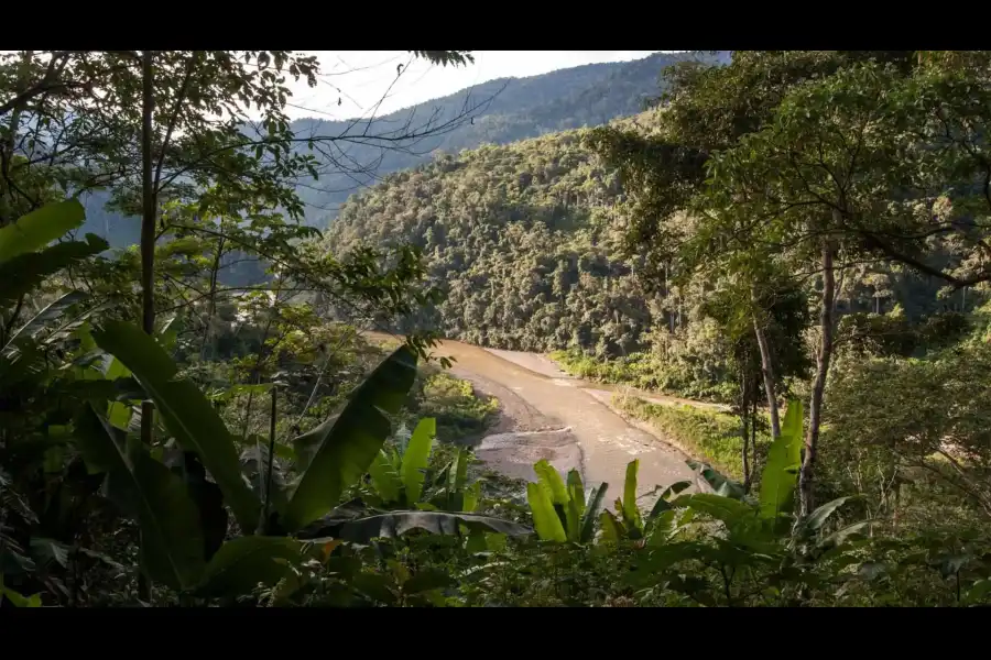 Imagen Parque Nacional Bahuaja Sonene - Imagen 1