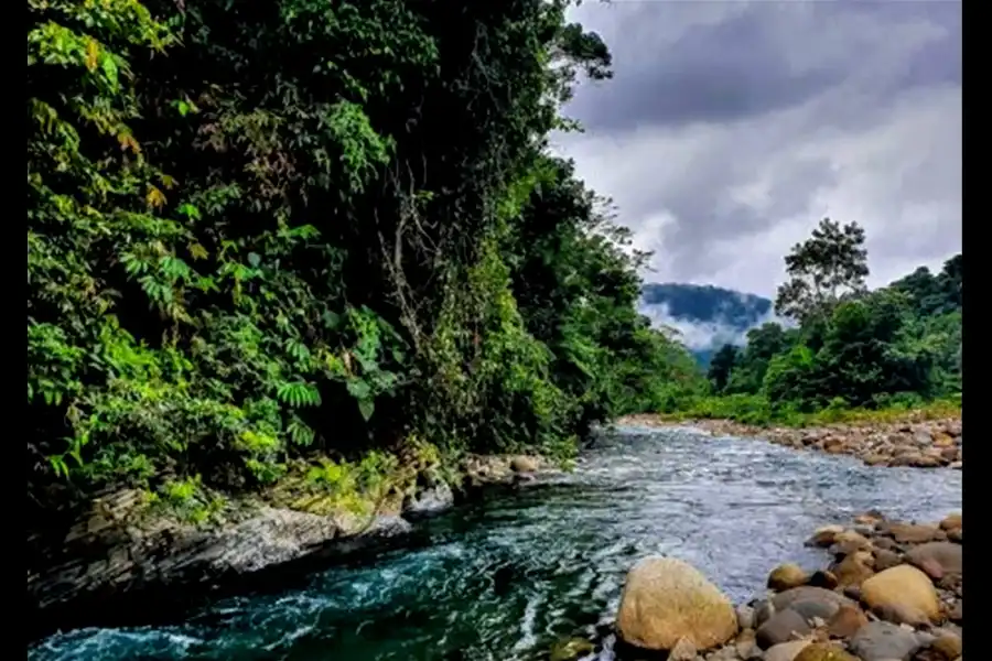 Imagen Parque Nacional Bahuaja Sonene - Imagen 13