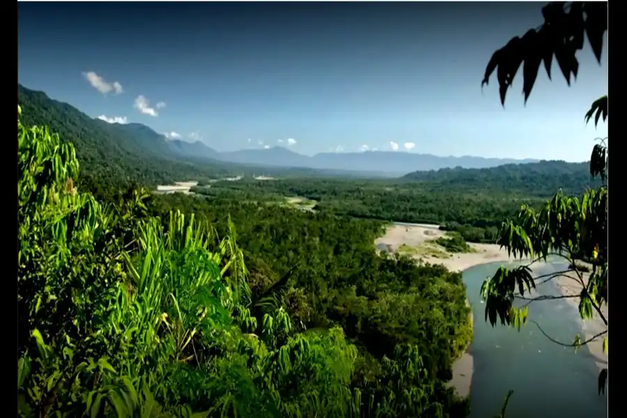 Imagen Parque Nacional Bahuaja Sonene - Imagen 18