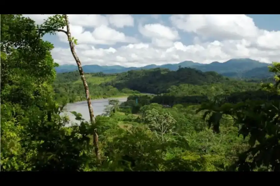 Imagen Parque Nacional Bahuaja Sonene - Imagen 3