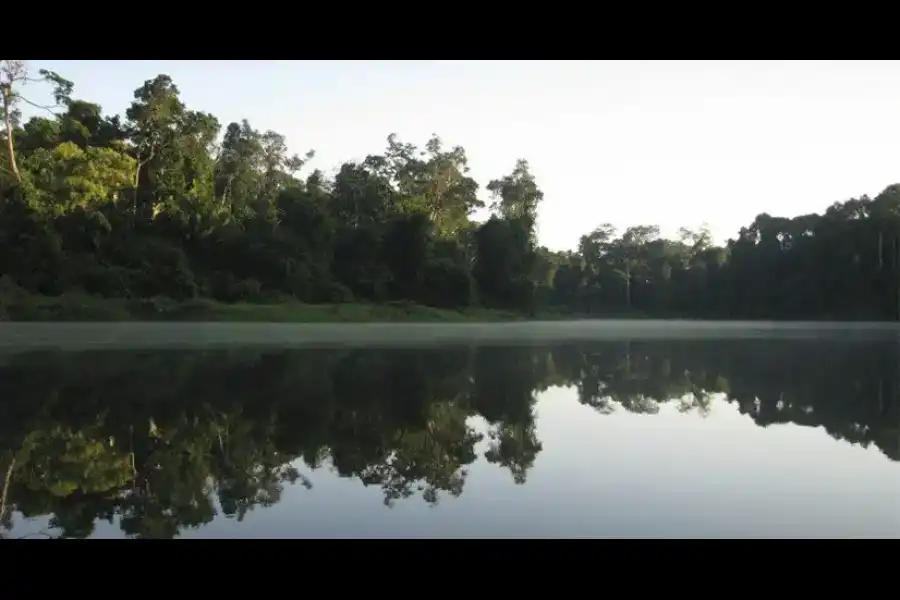 Imagen Parque Nacional Bahuaja Sonene - Imagen 4