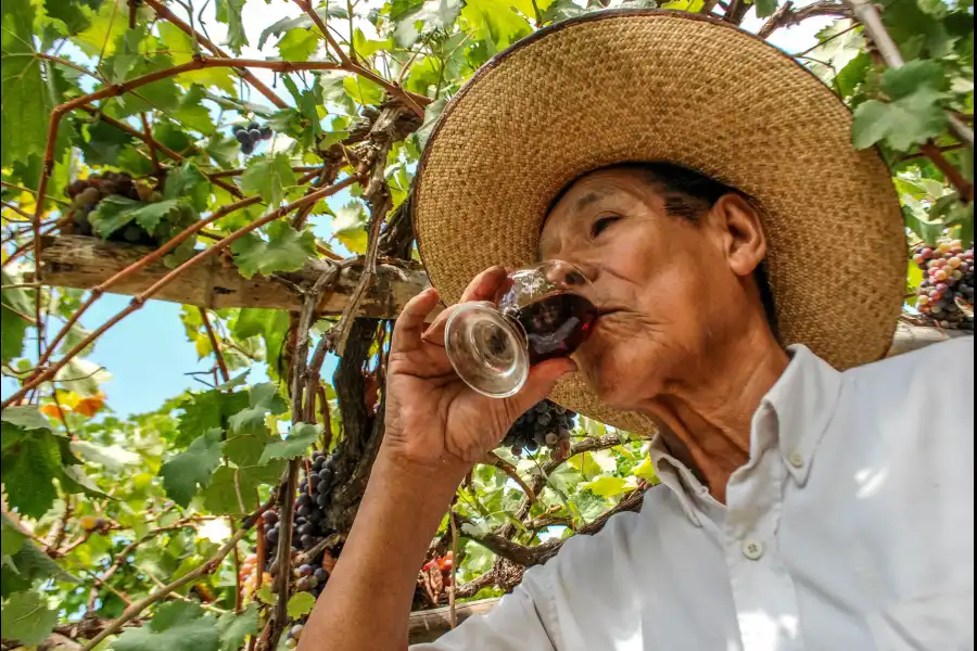 Imagen Festival De La Uva, Vino Y Canotaje De Lunahuaná - Imagen 4