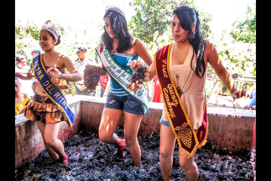 Imagen Festival De La Uva, Vino Y Canotaje De Lunahuaná - Imagen 6