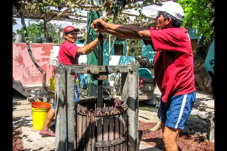 Imagen Festival De La Uva, Vino Y Canotaje De Lunahuaná - Imagen 7