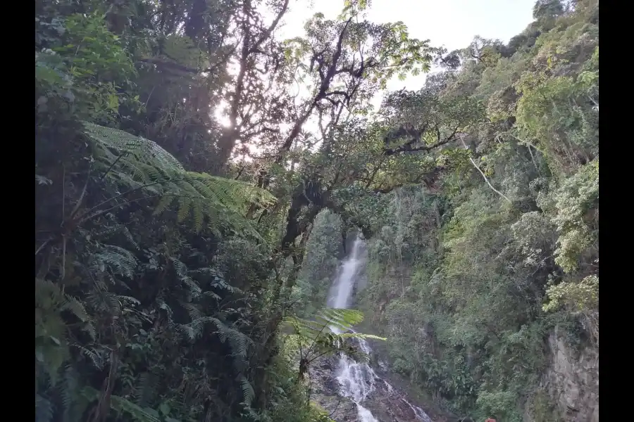 Imagen Catarata De Qoripayla - Imagen 6