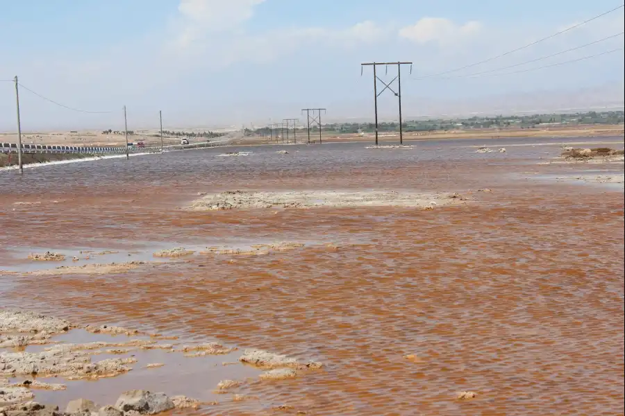 Imagen Laguna Y Salinera De San Camilo - Imagen 3