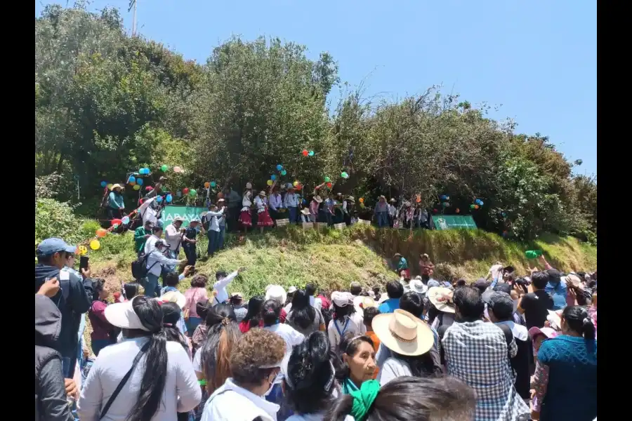 Imagen Bajada De Reyes Y Tradicional Sacudida De Perales - Imagen 5