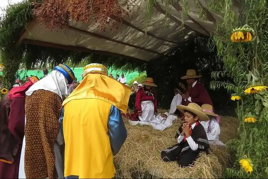 Imagen Bajada De Reyes Y Tradicional Sacudida De Perales - Imagen 7