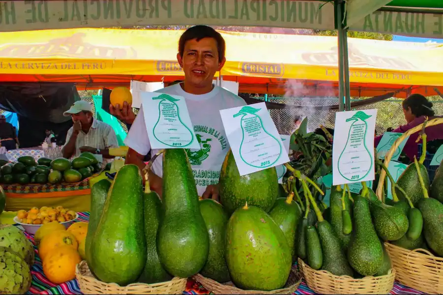 Imagen Festival De La Palta - Luricocha - Imagen 5