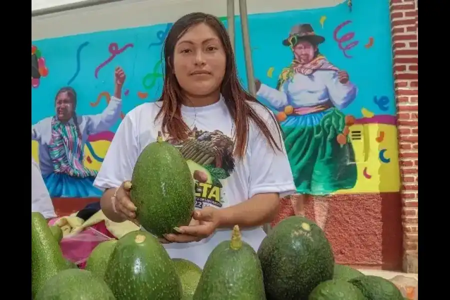 Imagen Festival De La Palta - Luricocha - Imagen 6