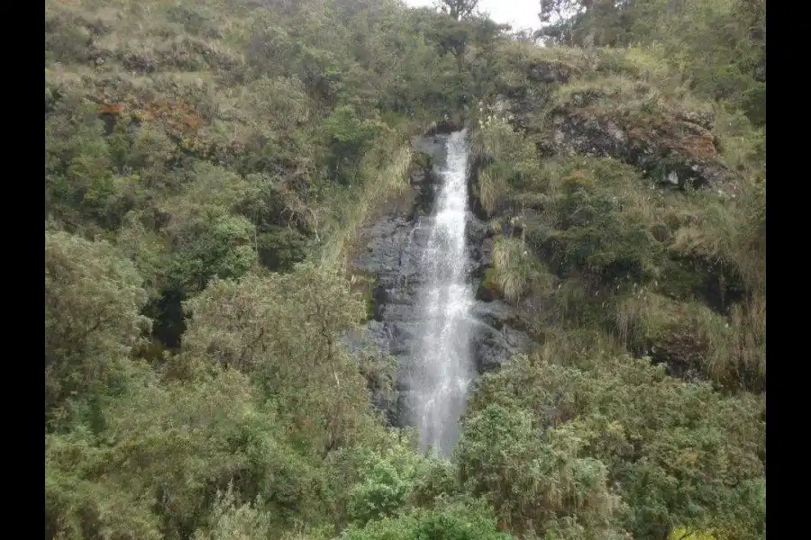 Imagen Catarata Chorro Blanco - Rupahuasi - Imagen 4