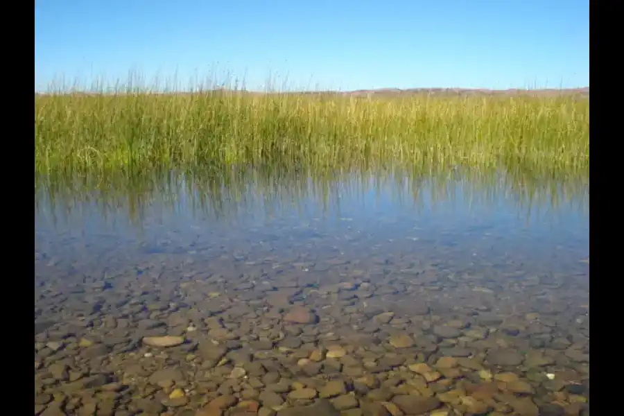 Imagen Lago Titicaca - Imagen 5