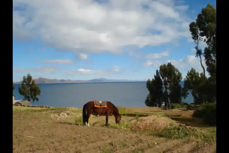 Imagen Lago Titicaca - Imagen 8