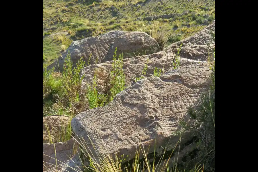 Imagen Sitio Arqueológico Cerro Tococawa - Imagen 9