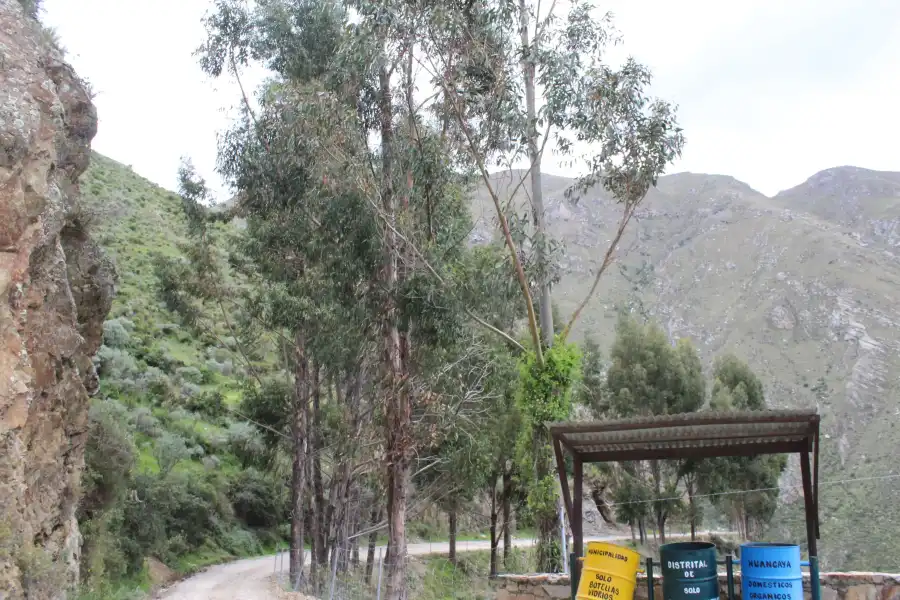 Imagen Mirador De Huallhua De Huancaya - Imagen 8