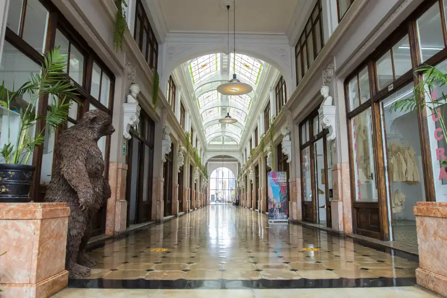 Imagen Sala De Exhibición Casa Fugaz (Edificio Ronald) - Imagen 4