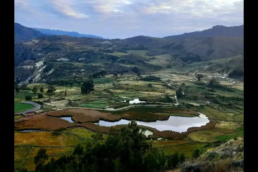 Imagen Laguna De Qoricancha  U Occeccocha - Imagen 1