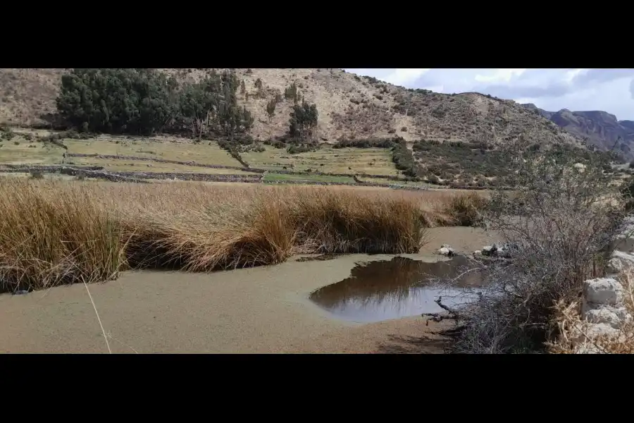 Imagen Laguna De Qoricancha  U Occeccocha - Imagen 3