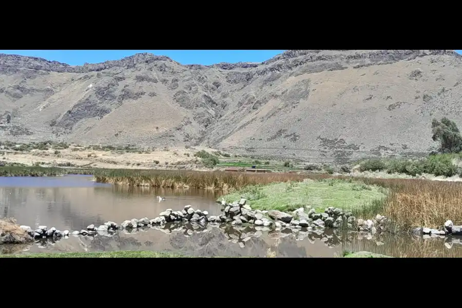 Imagen Laguna De Qoricancha  U Occeccocha - Imagen 4