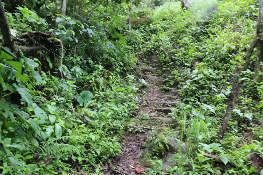 Imagen Cascada Lluvia Perpetua - Imagen 4