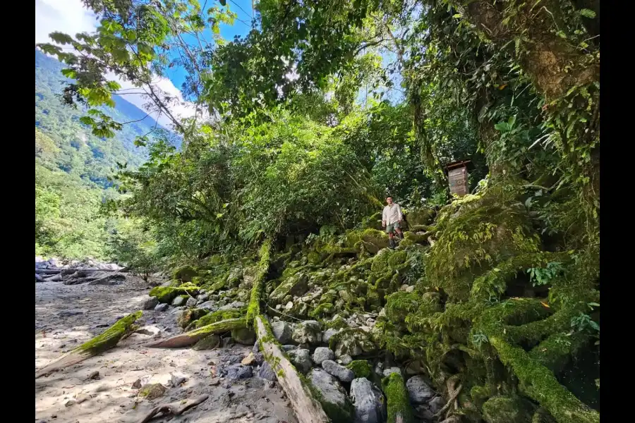 Imagen Parque Nacional Río Abiseo - Imagen 6