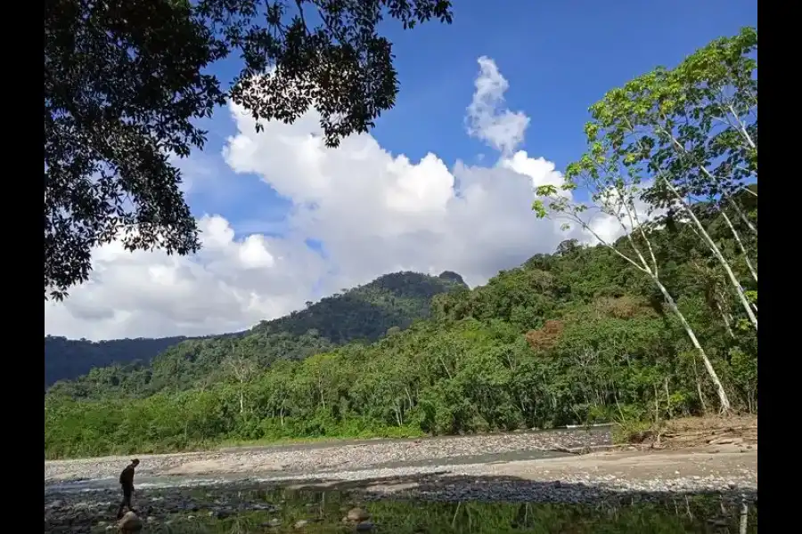 Imagen Parque Nacional Río Abiseo - Imagen 7