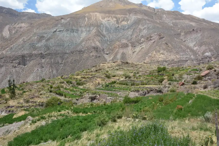 Imagen Sitio Arqueológico De Pharalujio - Imagen 1