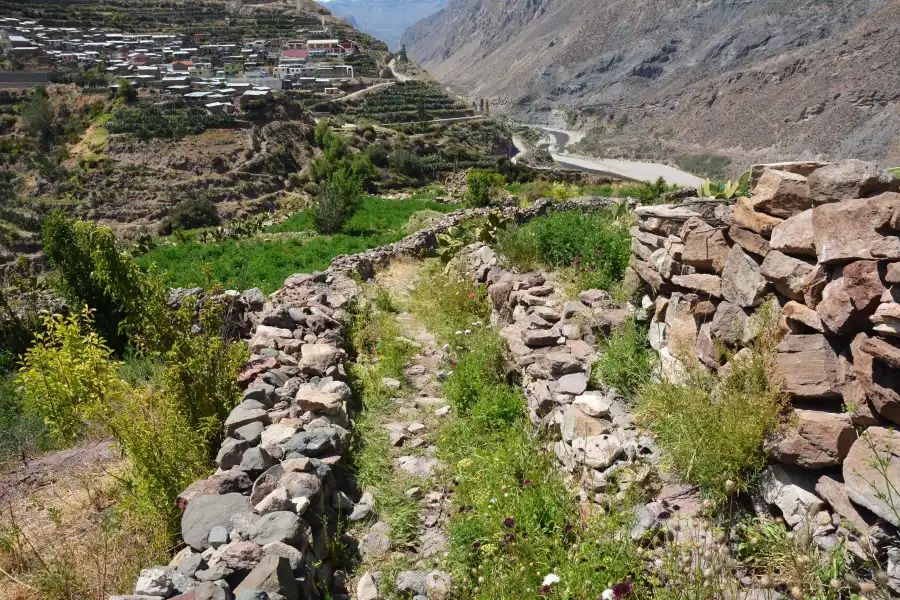 Imagen Sitio Arqueológico De Pharalujio - Imagen 6