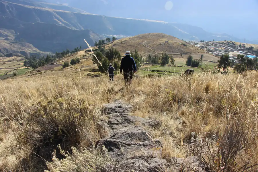 Imagen Camino Prehispánico De Huancarani - Imagen 6