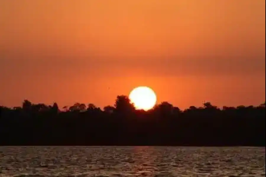 Imagen Manglares De Tumbes Sector Puerto Pizarro - Imagen 1